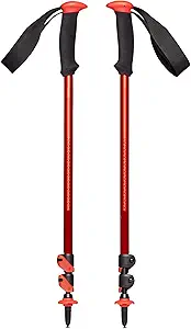 Black Diamond Trekking Pole **